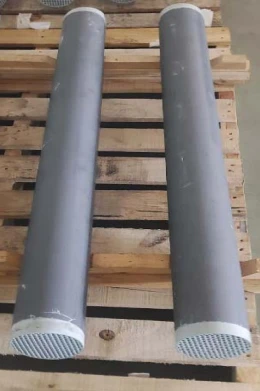 tubular membrane tubular membrane